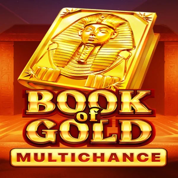 Slots logo of Book of Gold Multichance from Playson at Betninja Casino
