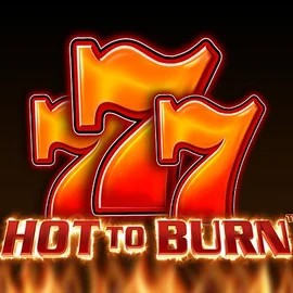 Slots logo of Hot To Burn from Pragmatic Play at Betninja Casino