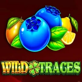 Wild Traces online game logo by Amusnet Interactive on betninja.eu.com